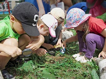 Как создать лабораторию на территории детского сада?