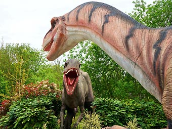 Знакомимся с историей планеты