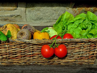 Игры для развития речи и мышления Игры для развития речи и мышления