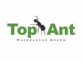 42.Top-Ant.jpg